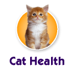 Cat Health