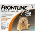 Frontline Plus